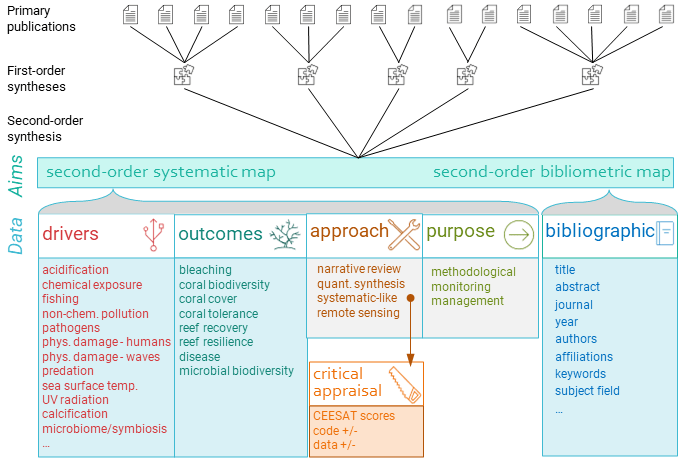 A figure depicting the process of conducting second order synthesis from Burke et al., 2022