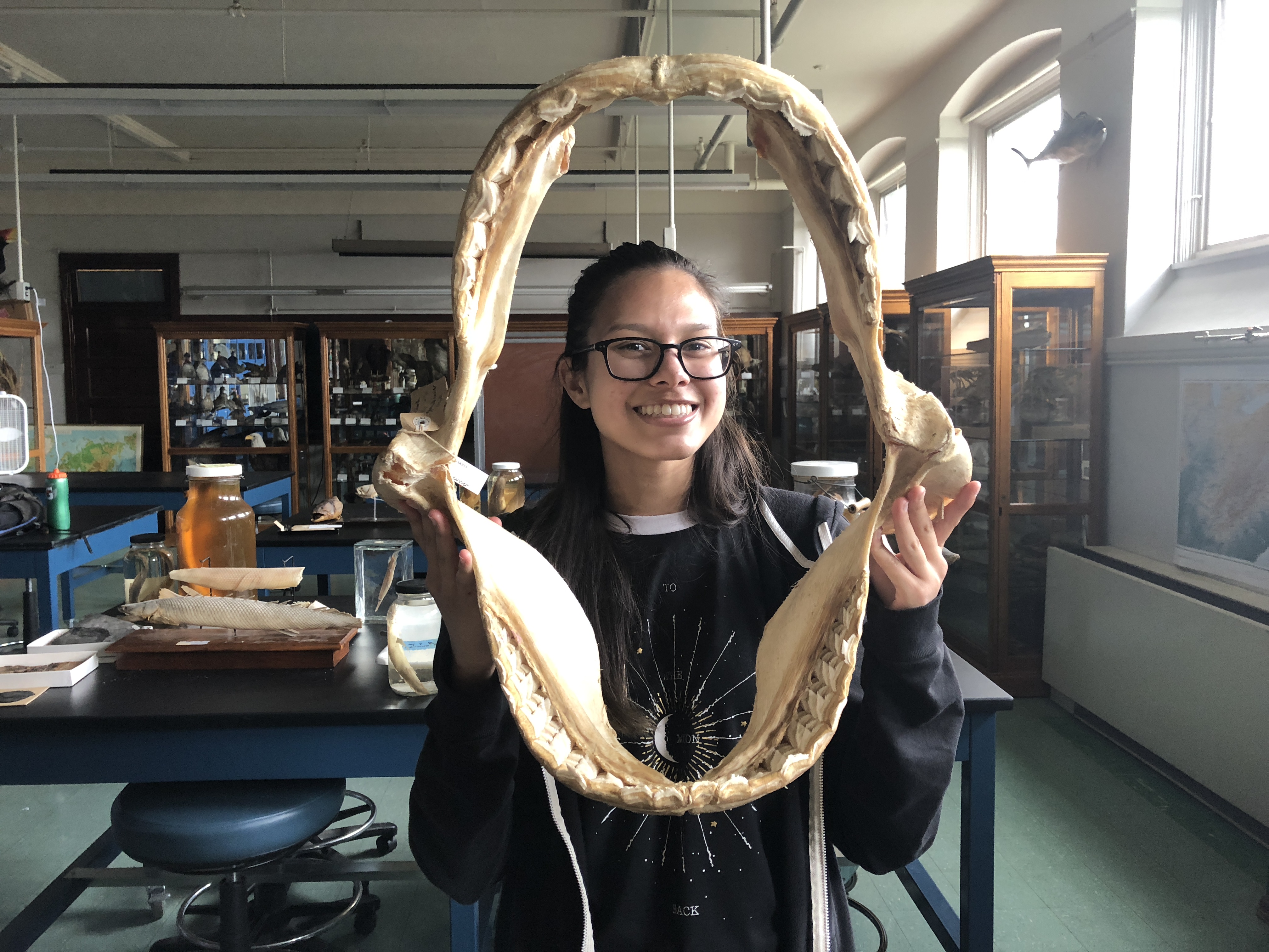 A photo of Samantha Burke smiling and holding the skeletal jaw of a great white shark