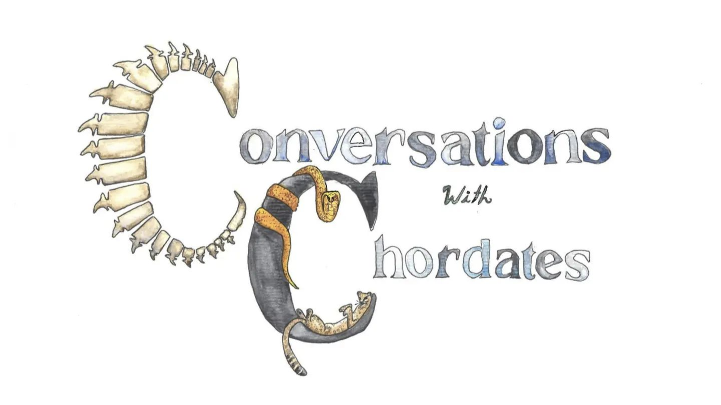 Conversations with Chordates podcast logo. The name of the podcast written in block letters where the C of Conversations is shaped like a spine, and the C of Chordates has an orange snake wrapped around the top and a brown cat-like mammal lounging on it's back in the lower crook of the C.